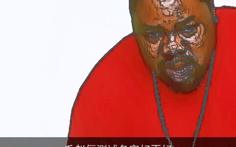 毛赵俪测试名字好不好