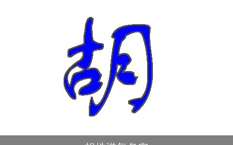 胡姓洋气名字