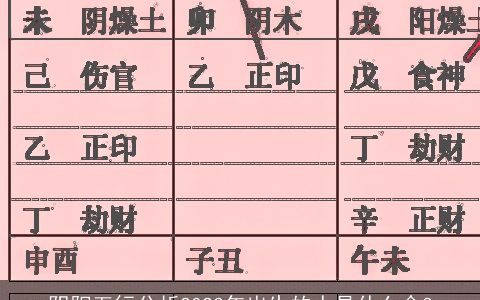 阴阳五行分析2023年出生的人是什么命3