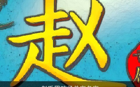 赵氏男孩子单字名字