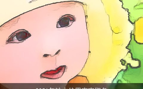 2021年缺火的男宝宝取名