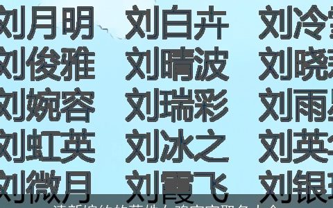 清新婉约的蔡姓女鸡宝宝取名大全