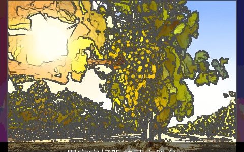 男宝宝好听的英文乳名