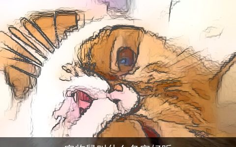 宠物鼠叫什么名字好听