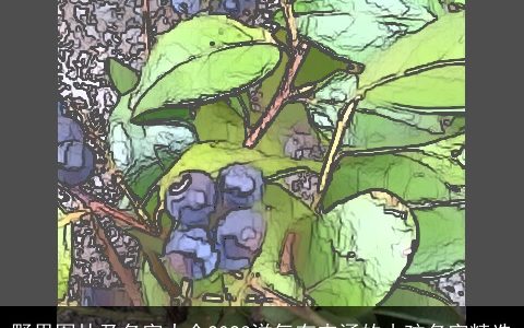 野果图片及名字大全2023洋气有内涵的小孩名字精选