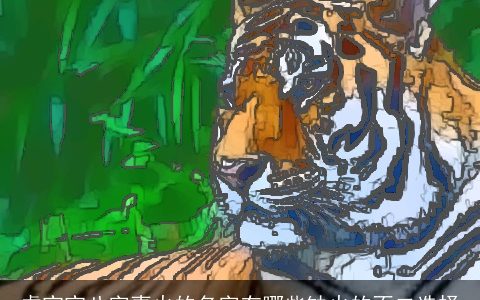 虎宝宝八字喜火的名字有哪些缺火的不二选择