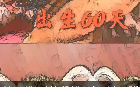 虎宝宝带梓的名字大全好听稀少的带字虎宝宝名字大全最新