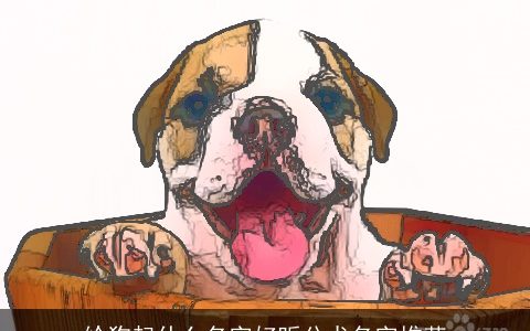 给狗起什么名字好听公犬名字推荐