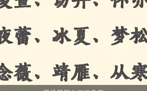裴姓朗朗上口的名字