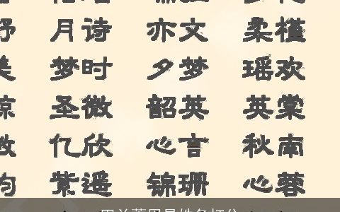 田兰蕙周易姓名打分