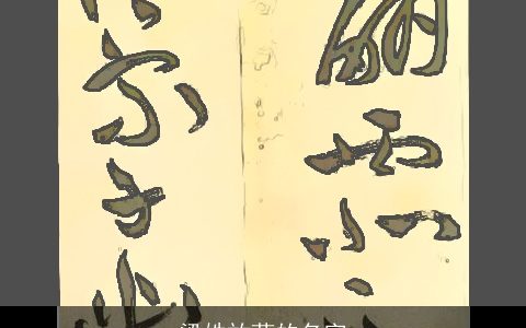 梁姓放荡的名字