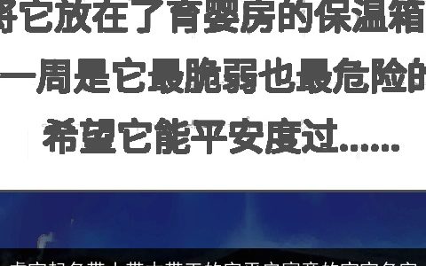 虎宝起名带山带木带王的字平安寓意的宝宝名字