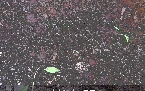 缺水和缺土名字