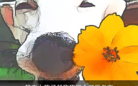 简直太萌了帮狗狗取个可爱名字