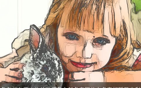 兔年端午节出生的孩子怎么起名字取什么名字好听又吉利