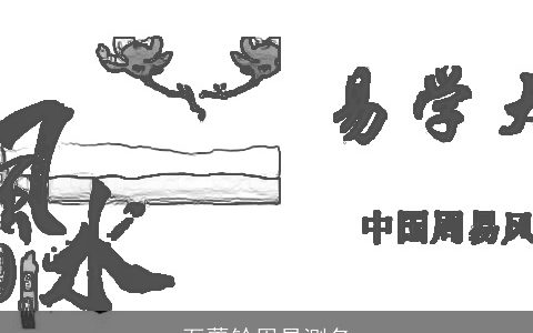 石蕾铃周易测名