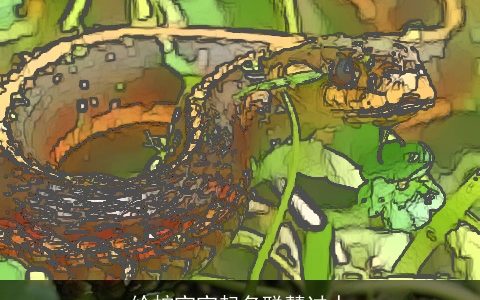 给蛇宝宝起名聪慧过人