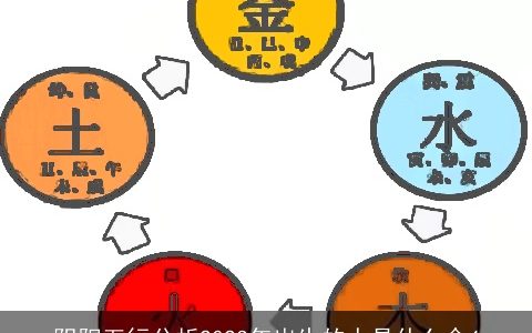 阴阳五行分析2024年出生的人是什么命4