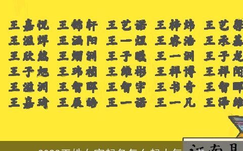 2023王姓女宝起名怎么起大气一点