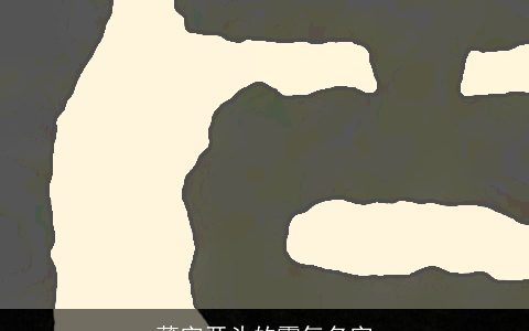 薄字开头的霸气名字