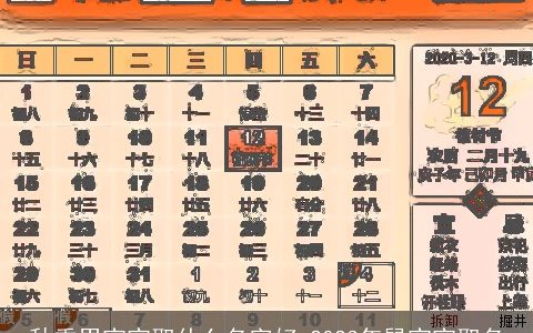 秋季男宝宝取什么名字好 2023年鼠宝宝取名