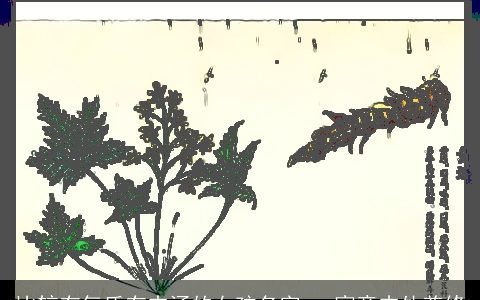 比较有气质有内涵的女孩名字   寓意内外兼修