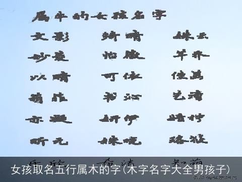 女孩取名五行属木的字(木字名字大全男孩子)