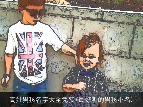 高姓男孩名字大全免费(最好听的男孩小名)
