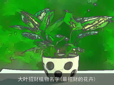 大叶招财植物名字(最招财的花卉)