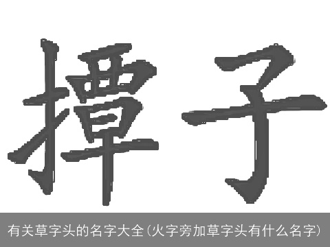 有关草字头的名字大全(火字旁加草字头有什么名字)