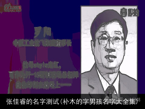 张佳睿的名字测试(补木的字男孩名字大全集)