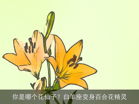 你是哪个花仙子？白羊座变身百合花精灵