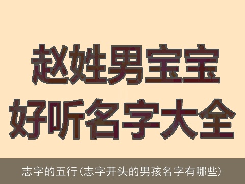 志字的五行(志字开头的男孩名字有哪些)