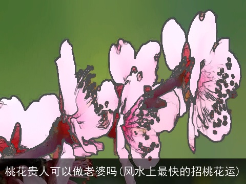 桃花贵人可以做老婆吗(风水上最快的招桃花运)