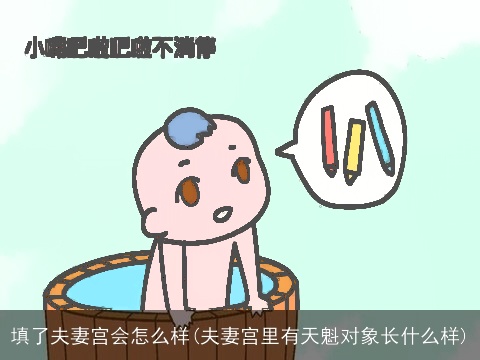 填了夫妻宫会怎么样(夫妻宫里有天魁对象长什么样)