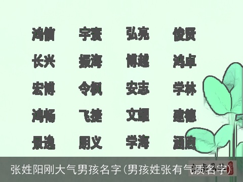 张姓阳刚大气男孩名字(男孩姓张有气质名字)