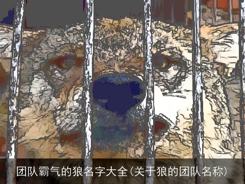 团队霸气的狼名字大全(关于狼的团队名称)