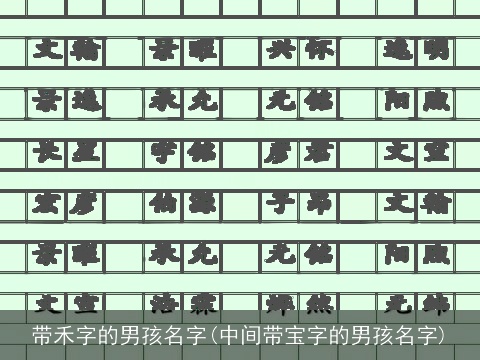 带禾字的男孩名字(中间带宝字的男孩名字)