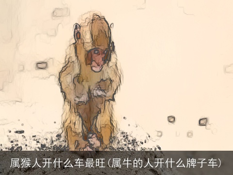 属猴人开什么车最旺(属牛的人开什么牌子车)