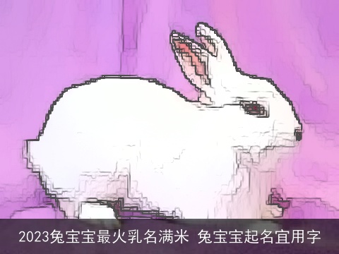 2023兔宝宝最火乳名满米 兔宝宝起名宜用字