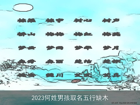 2023何姓男孩取名五行缺木