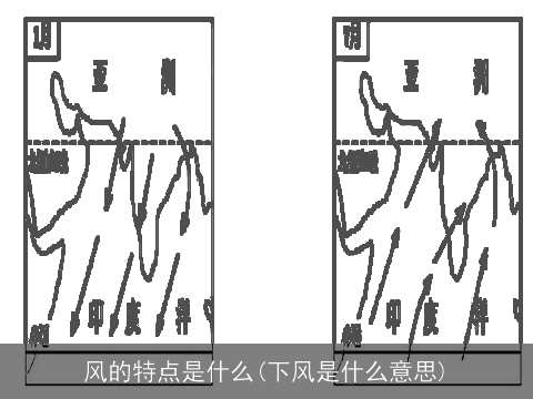 风的特点是什么(下风是什么意思)