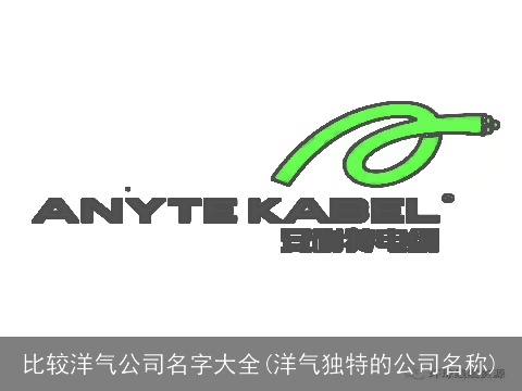比较洋气公司名字大全(洋气独特的公司名称)