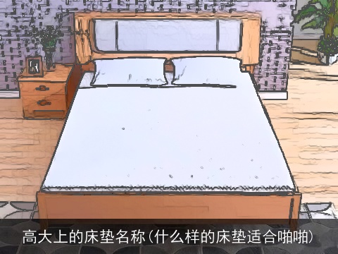 高大上的床垫名称(什么样的床垫适合啪啪)