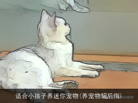 适合小孩子养迷你宠物(养宠物貂后悔)