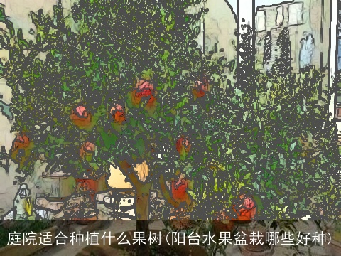 庭院适合种植什么果树(阳台水果盆栽哪些好种)