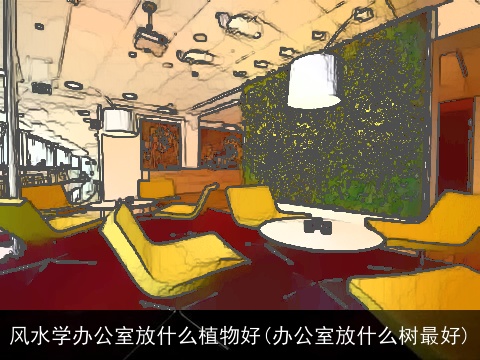风水学办公室放什么植物好(办公室放什么树最好)