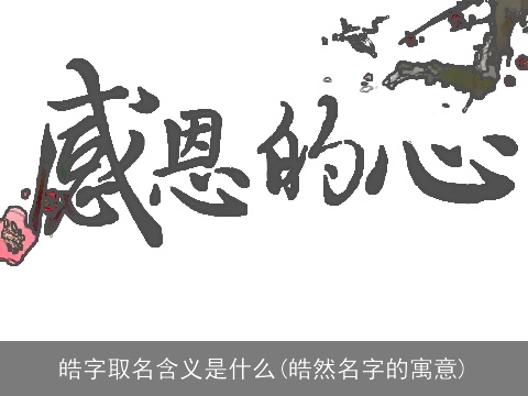 皓字取名含义是什么(皓然名字的寓意)