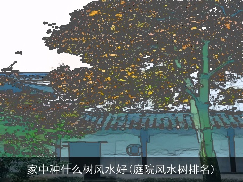 家中种什么树风水好(庭院风水树排名)