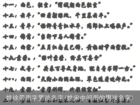 姓徐带雨字男孩名字(姓宋中间雨的男孩名字)